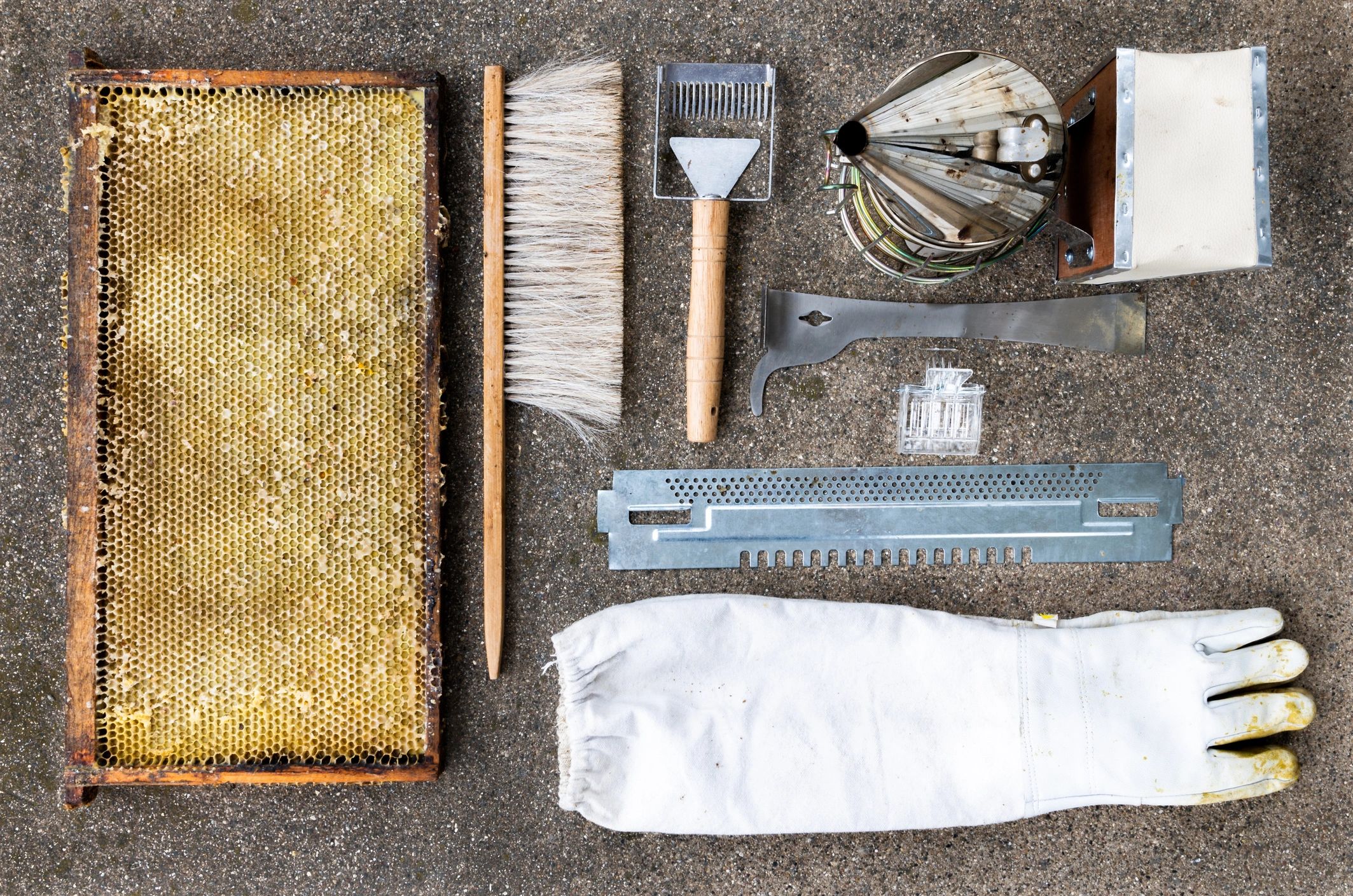 Flat lay of beekeeping tools and equipment