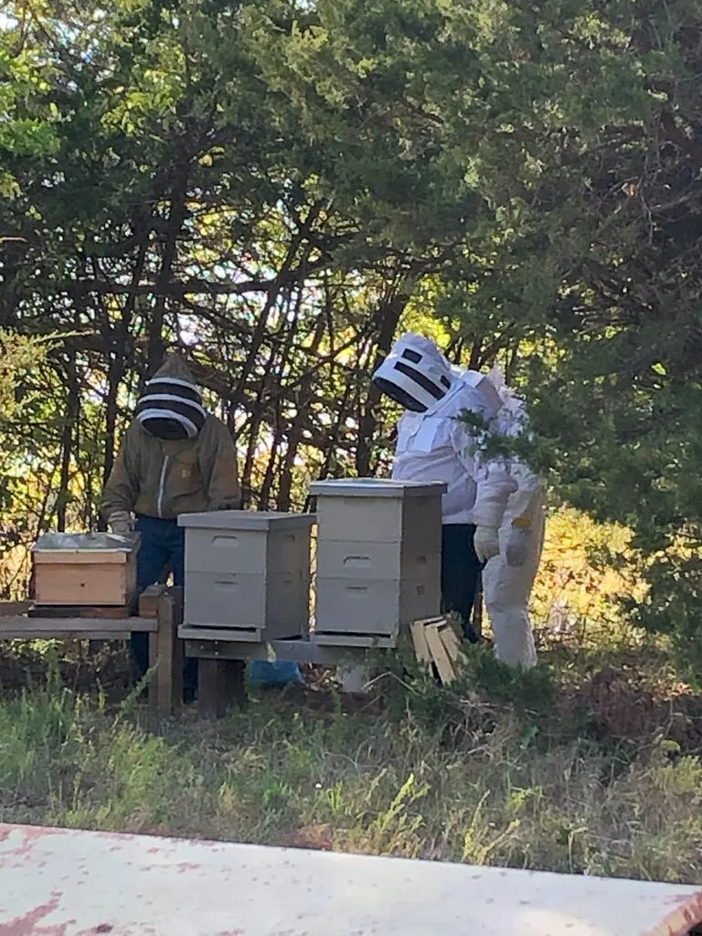 Beekeepers tending to hives in a wooded area.